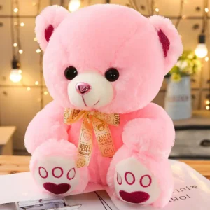 Huggable Heart Teddy Bear Plush